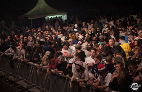 The Festival Crowd